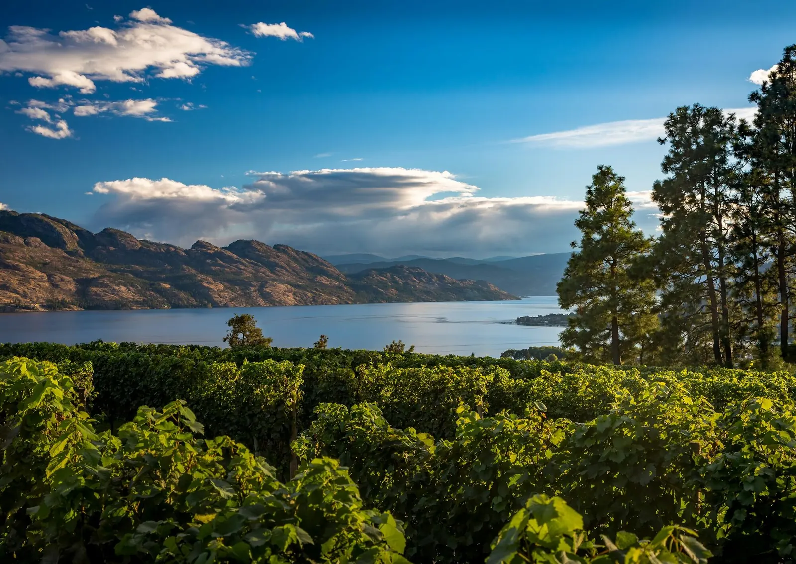Aerial view over Okanagan Lake near Kelowna
