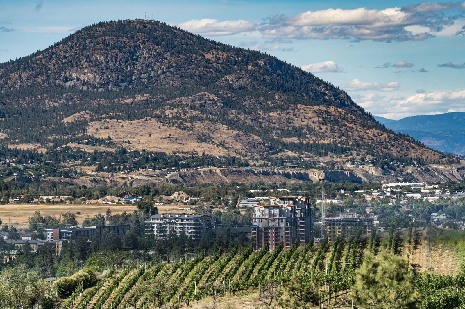 Hills above Penticton